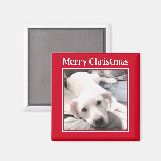 Foto van Cute Dog Merry KerstRed Magneet (Voorkant / Achterkant)
