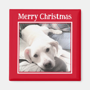 Foto van Cute Dog Merry KerstRed Magneet