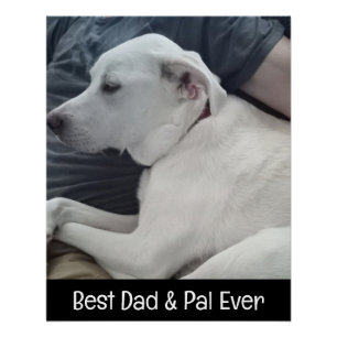 Foto van Cute Dog met Best Pal Ever Square Perfect Poster