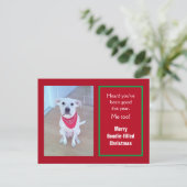 Foto van Cute Dog met grappige blik op Ears Red Feestdagenkaart (Staand voorkant)