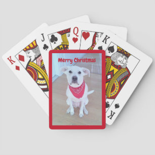 Foto van Cute Dog met grappige blik op Ears Red Pokerkaarten