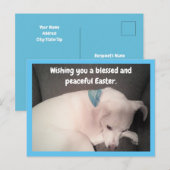 Foto van Cute Dog Peacely Resting Blue Easter Briefkaart (Voorkant / Achterkant)