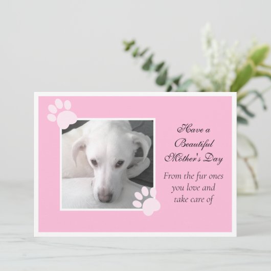 Foto van Cute Dog Roze Moederdag Poot Frame Feestdagenkaart (Staand voorkant)