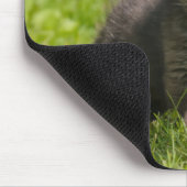 Foto van Cute Fluffy Red Fox Cub Wild Baby Animal Muismat (Hoek)