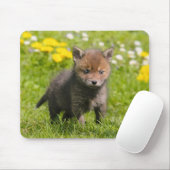 Foto van Cute Fluffy Red Fox Cub Wild Baby Animal Muismat (Met muis)