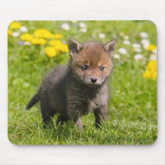 Foto van Cute Fluffy Red Fox Cub Wild Baby Animal Muismat (Voorkant)