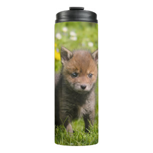 Foto van Cute Fluffy Red Fox Cub Wild Baby Animal Thermosbeker