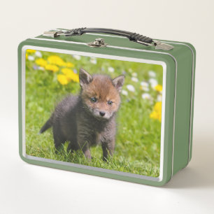 Foto van Cute Fluffy Red Fox Kit Cub Wild Baby Ani
