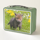 Foto van Cute Fluffy Red Fox Kit Cub Wild Baby Ani (Achterkant)