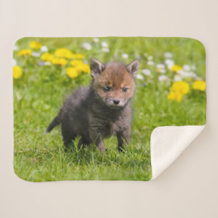 Foto van Cute Fluffy Red Fox Kit Cub Wild Baby Ani Sherpa Deken