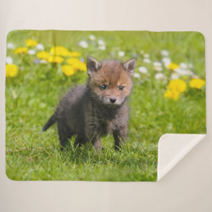 Foto van Cute Fluffy Red Fox Kit Cub Wild Baby Ani Sherpa Deken