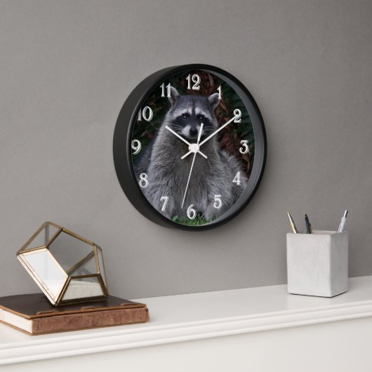 Foto van Cute Forest Raccoon Wildlife (Kantoor)