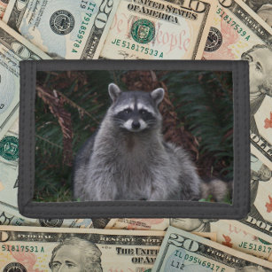 Foto van Cute Forest Raccoon Wildlife Drievoud Portemonnee