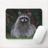 Foto van Cute Forest Raccoon Wildlife Muismat (Met muis)