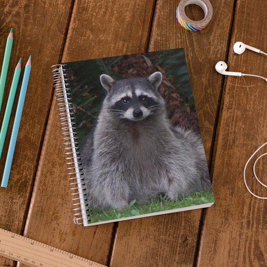 Foto van Cute Forest Raccoon Wildlife Notitieboek