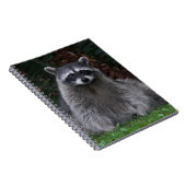 Foto van Cute Forest Raccoon Wildlife Notitieboek (Rechterzijde)