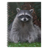 Foto van Cute Forest Raccoon Wildlife Notitieboek (Voorkant)