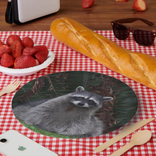 Foto van Cute Forest Raccoon Wildlife Papieren Bordje (Picknick)