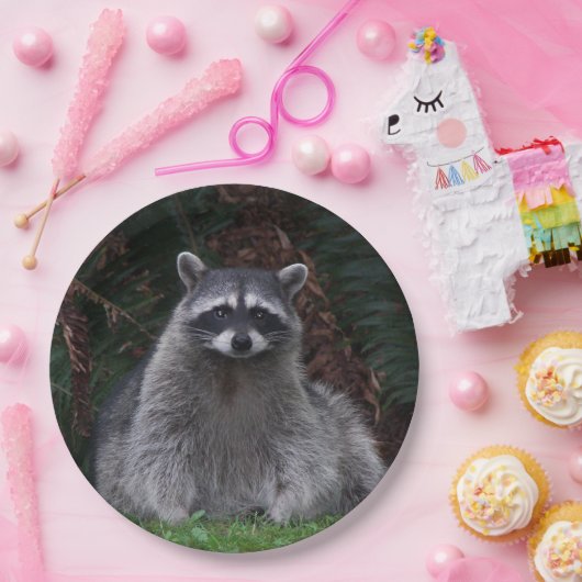 Foto van Cute Forest Raccoon Wildlife Papieren Bordje (Feest)