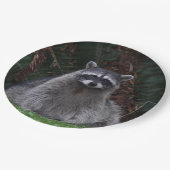 Foto van Cute Forest Raccoon Wildlife Papieren Bordje (Gekanteld)