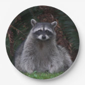 Foto van Cute Forest Raccoon Wildlife Papieren Bordje (Voorkant)