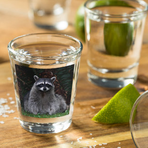 Foto van Cute Forest Raccoon Wildlife Shot Glas