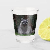 Foto van Cute Forest Raccoon Wildlife Shot Glas (Voorkant)