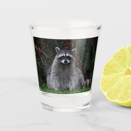 Foto van Cute Forest Raccoon Wildlife Shot Glas (Voorkant)
