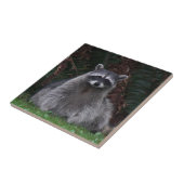 Foto van Cute Forest Raccoon Wildlife Tegeltje (Zijkant)