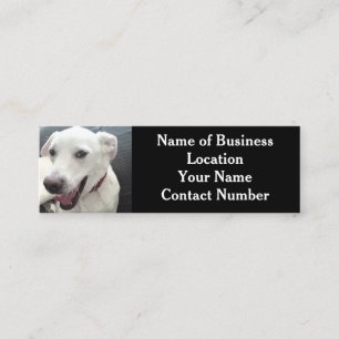 Foto van Cute Funny White Dog Black Mini Visitekaartje