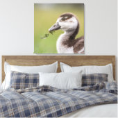 Foto van Cute Goose Chick Natuur Canvas Afdruk (Insitu (Slaapkamer))