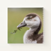 Foto van Cute Goose Chick Natuur Notitieboek (Achterkant)
