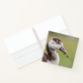 Foto van Cute Goose Chick Natuur Notitieboek (Binnen)