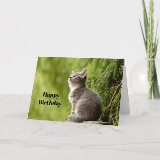 Foto van Cute Grey Kitten op Birthday Kaart (Voorkant)