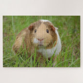 Foto van Cute guinea Legpuzzel (Horizontaal)