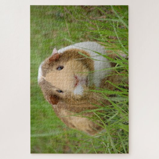 Foto van Cute guinea Legpuzzel (Verticaal)