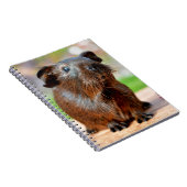 Foto van Cute Guinea Pig Notitieboek (Rechterzijde)