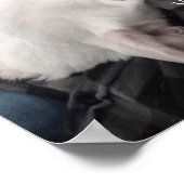Foto van Cute Hond Beste Papa Ooit Poster (Hoek)