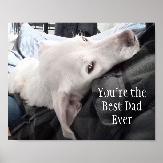 Foto van Cute Hond Beste Papa Ooit Poster (Voorkant)