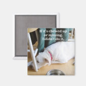 Foto van Cute Innocent en Guilty Puppy Dog Magneet (Voorkant / Achterkant)