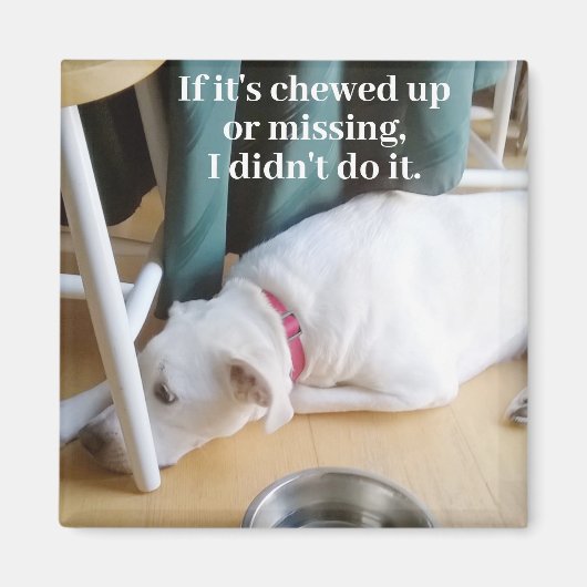 Foto van Cute Innocent en Guilty Puppy Dog Magneet (Voorkant)