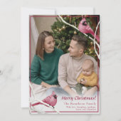 Foto van Cute Kerstmis Kardinaal Bird Feestdagenkaart (Voorkant)