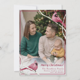 Foto van Cute Kerstmis Kardinaal Bird Feestdagenkaart