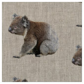 Foto van Cute Koala Stof (Close Up)