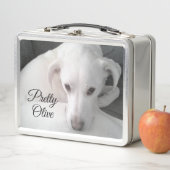 Foto van Cute Labrador Retriever Mix Dog  (In situ)