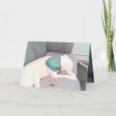 Foto van Cute Lazy Dog Funny St. Patrick's Day Kaart (Achterkant)