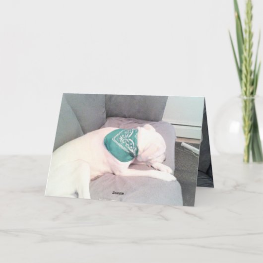 Foto van Cute Lazy Dog Funny St. Patrick's Day Kaart (Achterkant)