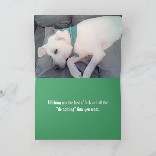 Foto van Cute Lazy Dog Funny St. Patrick's Day Kaart (Binnen)