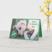 Foto van Cute Lazy Dog Funny St. Patrick's Day Kaart (Gele Bloem)