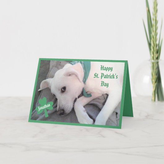 Foto van Cute Lazy Dog Funny St. Patrick's Day Kaart (Voorkant)